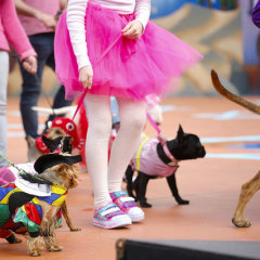 Galería de fotos del Carnaval Canino